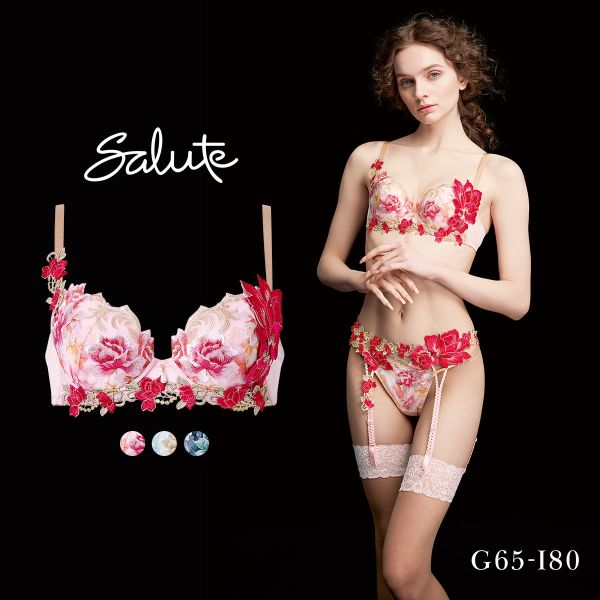 ワコール サルート 26グループ 26G P-UP ブラジャー GHI プッシュアップ 谷間 Wacoal Salute BTJ426 25AWシーズン 大きいサイズ