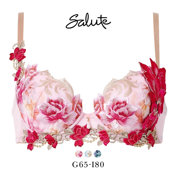 ワコール サルート 26グループ 26G P-UP ブラジャー GHI プッシュアップ 谷間 Wacoal Salute BTJ426 25AWシーズン 大きいサイズ