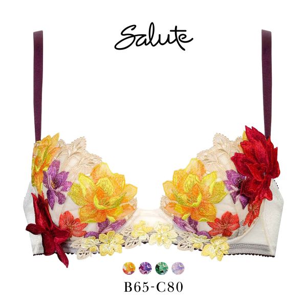 ワコール Wacoal サルート Salute 30G P-UP ブラジャー BC プッシュアップ 谷間 下着 単品 BTJ430 24AW フェア