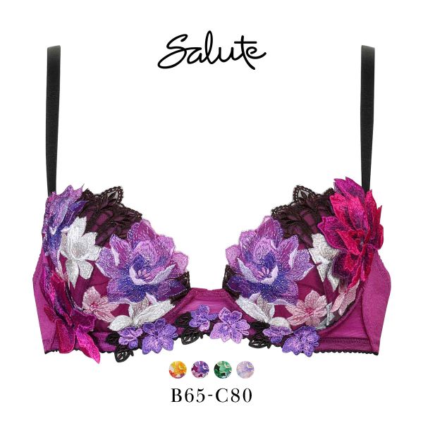 ワコール Wacoal サルート Salute 30G P-UP ブラジャー BC プッシュアップ 谷間 下着 単品 BTJ430 24AW フェア