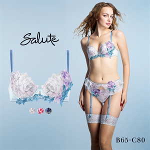 ワコール サルート 36グループ 36G P-UP ブラジャー プッシュアップ BC 谷間 Wacoal Salute BTJ436 26SSシーズン