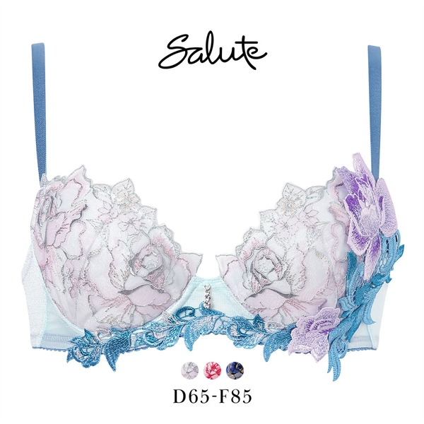 ワコール サルート 36グループ 36G P-UP ブラジャー プッシュアップ DEF 大きいサイズ 谷間 Wacoal Salute BTJ436 26SSシーズン