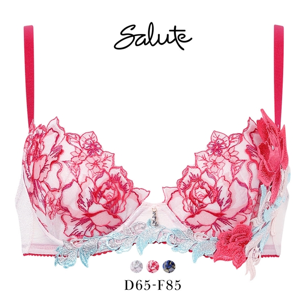 ワコール サルート 36グループ 36G P-UP ブラジャー プッシュアップ DEF 大きいサイズ 谷間 Wacoal Salute BTJ436 26SSシーズン