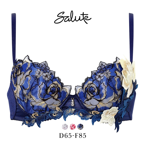 ワコール サルート 36グループ 36G P-UP ブラジャー プッシュアップ DEF 大きいサイズ 谷間 Wacoal Salute BTJ436 26SSシーズン
