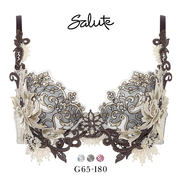 ワコール サルート 42グループ 42G P-UP ブラジャー GHI プッシュアップ 谷間 Wacoal Salute BTJ442 下着 26AW先行プレステージ