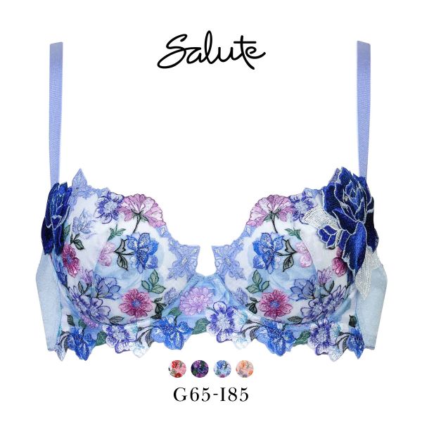 ★新品 C70 L サルート Salute 51グループ ブラソング VI ☆新品 C70 L サルート Salute 51グループ ブラソング VI