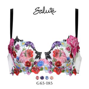 ワコール サルート 60グループ 60G P-UP ブラジャー プッシュアップ GHI 谷間 大きいサイズ Wacoal Salute BTJ460 24AWシーズン