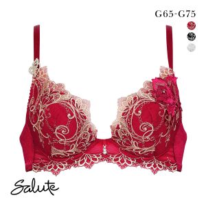 ワコール サルート 70グループ 70G VIVA LINE ブラジャー G ビバライン 谷間 Wacoal Salute BTJ470 24AWブルーム