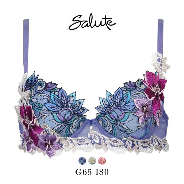 ワコール サルート 80グループ 80G P-UP ブラジャー GHI プッシュアップ Wacoal Salute BTJ480 25SS先行プレステージ