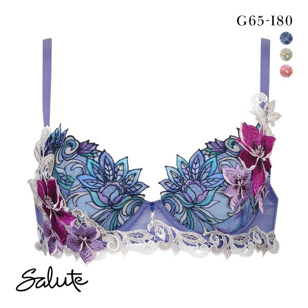 ワコール サルート 80グループ 80G P-UP ブラジャー GHI プッシュアップ Wacoal Salute BTJ480 25SS先行プレステージ