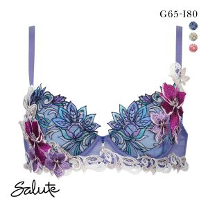 ワコール サルート 80グループ 80G P-UP ブラジャー GHI プッシュアップ Wacoal Salute BTJ480 25SS先行プレステージ