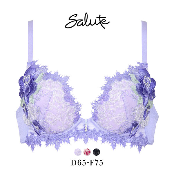 新品未使用 Salute ビバライン　07G ブラE75 ショーツL セット 新品未使用 Salute ビバライン 07G ブラE75 ショーツL セット