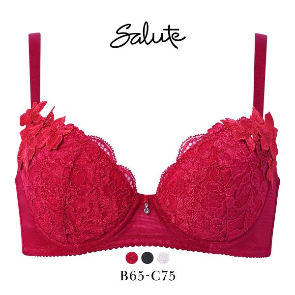 ワコール サルート 27グループ 27G 女優Bra ブラジャー BC デコルテ 谷間 リフトアップ Wacoal Salute BTJ727 25AWブルーム