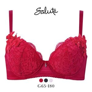 ワコール サルート 27グループ 27G 女優Bra ブラジャー GHI デコルテ 谷間 リフトアップ Wacoal Salute BTJ727 25AWブルーム