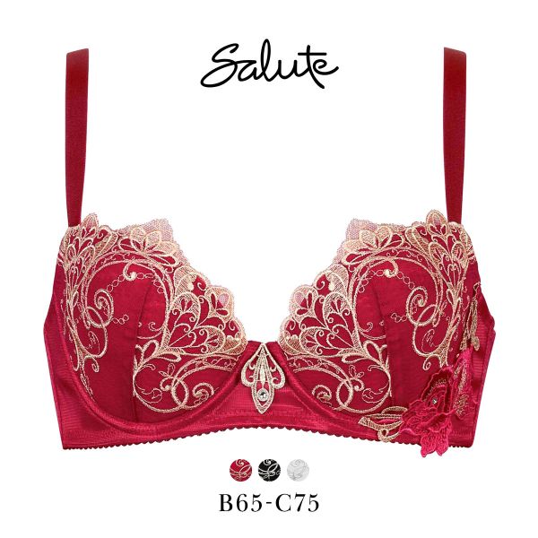 ワコール サルート 70グループ 70G 女優Bra ブラジャー BC デコルテ 谷間 リフトアップ Wacoal Salute BTJ770 24AWブルーム