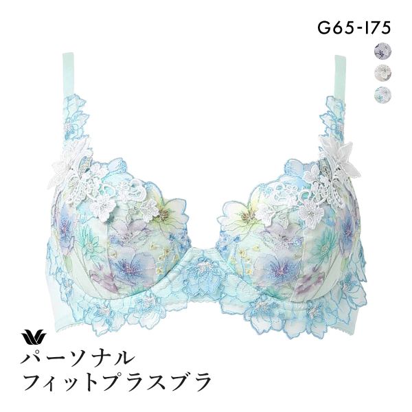 ワコール パーソナルフィットプラスブラ プレミアム 17series BXD417 17G 3/4カップブラジャー G Wacoal