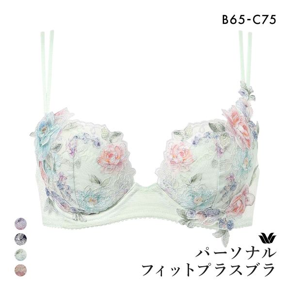 ワコール パーソナルフィットプラスブラ プレミアム 22series BXD422 22G 3/4カップブラジャー BC Wacoal