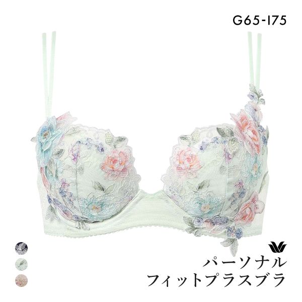 ワコール パーソナルフィットプラスブラ プレミアム 22series BXD422 22G 3/4カップブラジャー GHI Wacoal 大きいサイズ