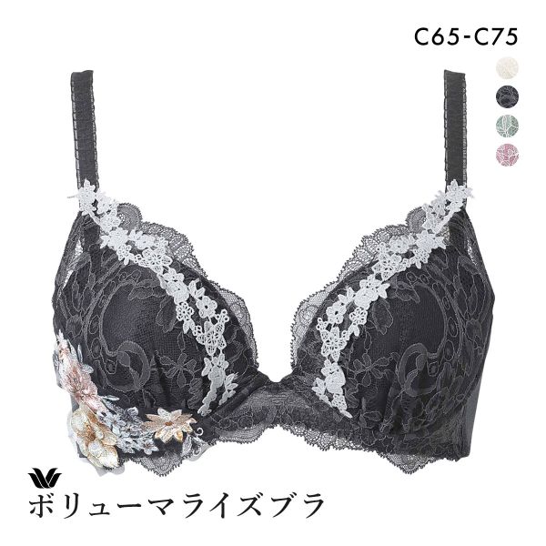 ワコール Wacoal ボリューマライズブラ プレミアム 11series BXD711 11G ブラジャー C 単品