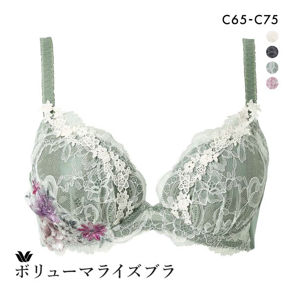 ワコール Wacoal ボリューマライズブラ プレミアム 11series BXD711 11G ブラジャー C 単品