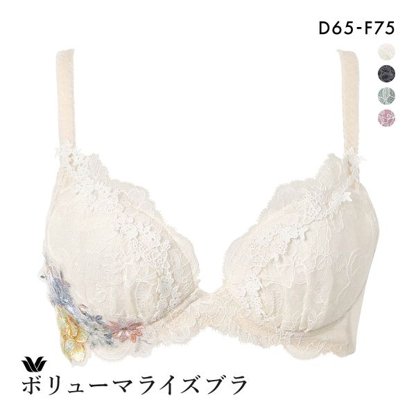 25OFF 拾 Wacoal ܥ塼ޥ饤֥ ץߥ 11series BXD711 11G ֥饸㡼 DEF ñ