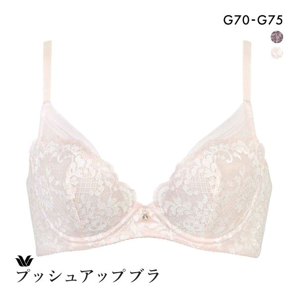 ワコール プッシュアップブラ プランジングタイプ プレミアム 13series BXD713 13G ブラジャー G Wacoal 大きいサイズ