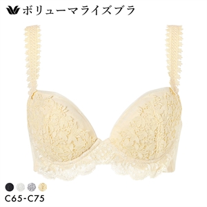 ワコール ボリューマライズブラ プレミアム 18series BXD718 18G ブラジャー C Wacoal