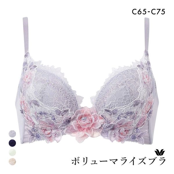 ワコール ボリューマライズブラ プレミアム 22series BXD722 22G ブラジャー C Wacoal