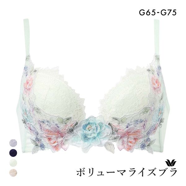 ワコール ボリューマライズブラ プレミアム 22series BXD722 22G ブラジャー G Wacoal 大きいサイズ