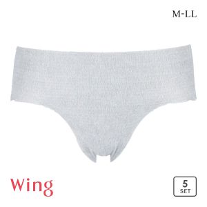 ワコール ウイング AnyAnyインナー メンズパンツ 5枚セット 使いきりインナー ブリーフ 前閉じ 災害時や入院時に便利 Wacoal Wing