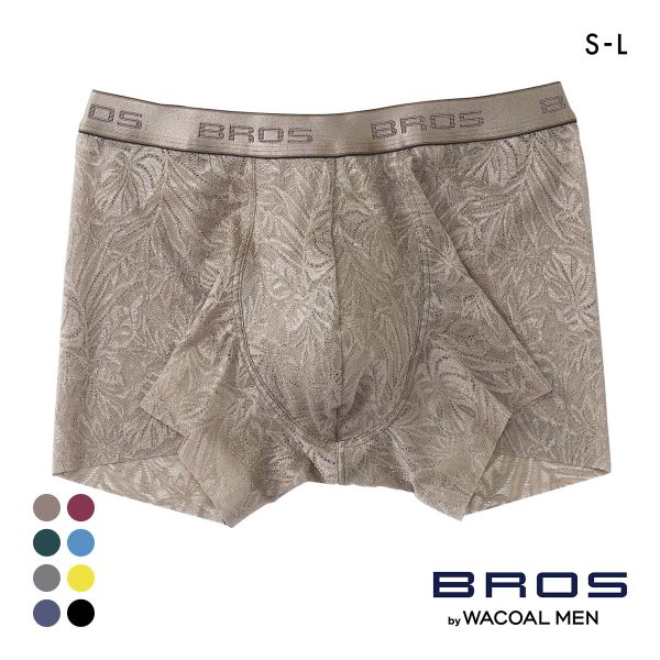 ブロス バイ ワコールメン BROS by WACOAL MEN レースボクサー ボクサーパンツSML メンズ 前閉じ ノーマル丈 GT3341