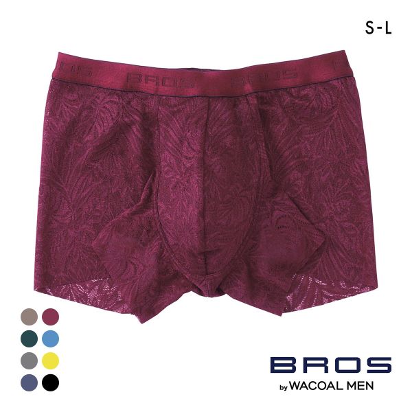 ブロス バイ ワコールメン BROS by WACOAL MEN レースボクサー ボクサーパンツSML メンズ 前閉じ ノーマル丈 GT3341