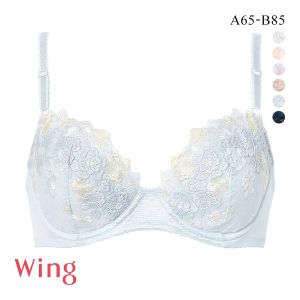 ワコール Wacoal ウイング Wing KB2060 ナチュラルアップブラ ブラジャー AB 単品