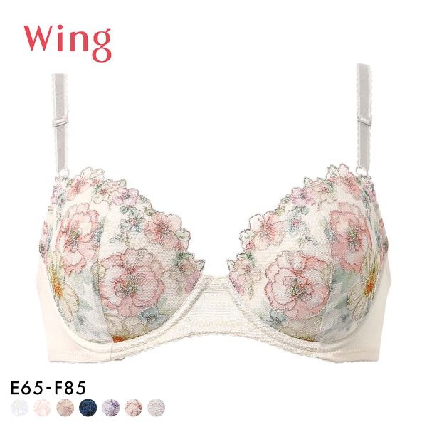 ワコール Wacoal ウイング Wing KB2060 ナチュラルアップブラ ブラジャー E F 大きいサイズ