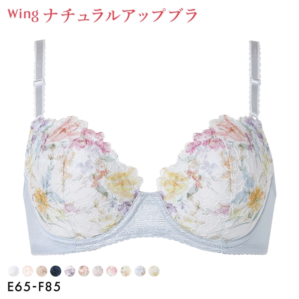 ワコール Wacoal ウイング Wing KB2060 ナチュラルアップブラ ブラジャー E F 大きいサイズ