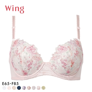 ワコール Wacoal ウイング Wing KB2060 ナチュラルアップブラ ブラジャー E F 大きいサイズ