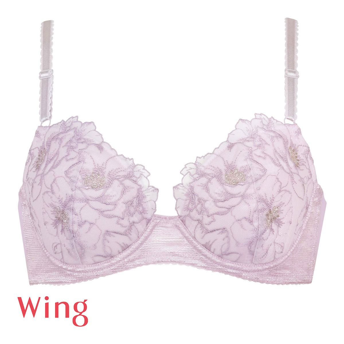 ワコール　wacol アヴォカ　avoca LLサイズ　BDX742 eld-chic_01bdx741