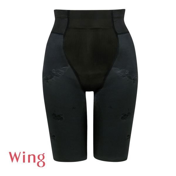 ワコール Wacoal ウイング Wing 気になるおなか、すっきりサポート ハミデンヌ フルロング ガードル おなかおさえ ヒップアップ L LL