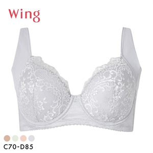 ワコール Wacoal ウイング Wing 脇高 脇胸から背中まですっきりスムージング ブラジャー 3/4カップ CD NB2724 単品