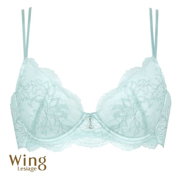 ウイング Wing レシアージュ Lesiage ChouChou de Lesi PB1000 ブラジャー DEF 単品