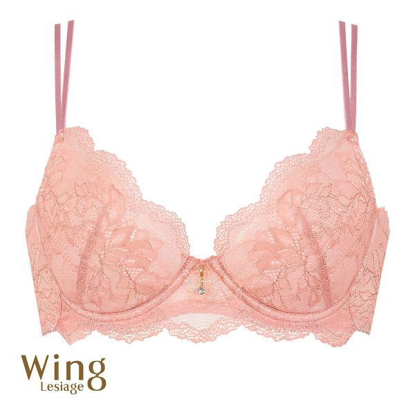 ウイング Wing レシアージュ Lesiage ChouChou de Lesi PB1000 ブラジャー DEF 単品