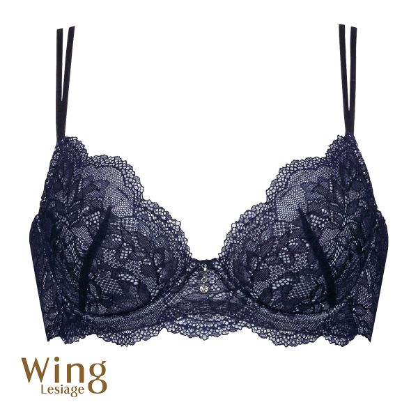 ウイング Wing レシアージュ Lesiage ChouChou de Lesi PB1000 ブラジャー DEF 単品