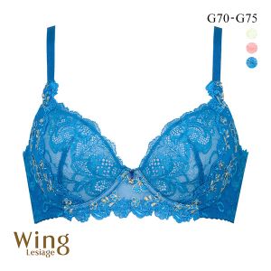 ウイング Wing レシアージュ Lesiage 24SS 2920シリーズ ブラジャー 脇すっきり 着やせフィット G 単品
