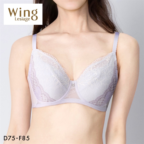 ウイング レシアージュ 小さく見せる フルカップブラジャー DEF Wing Lesiage 6000G