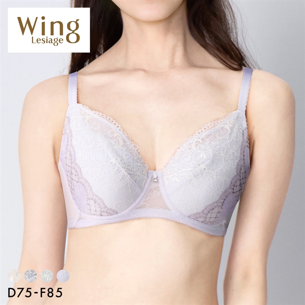 ウイング レシアージュ 小さく見せる フルカップブラジャー DEF Wing Lesiage 6000G