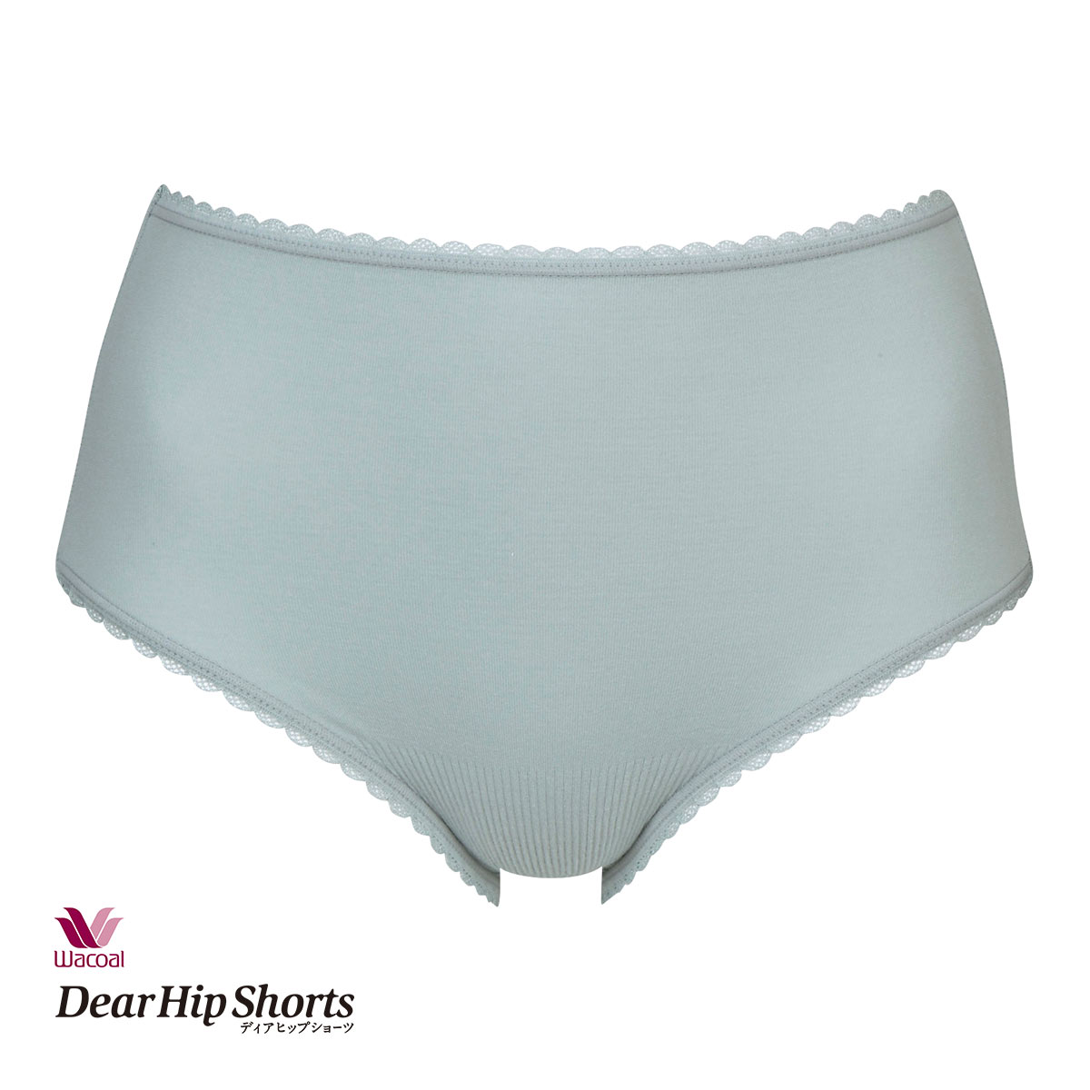 ワコール Wacoal ディアヒップショーツ DearHip Shorts ノーマル スタンダード ショーツ ML フィットタイプ 単品(BGY-ブルーグレー-M)