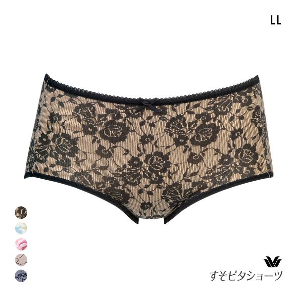 ワコール すそピタショーツ ノーマル LL 綿混 Wacoal