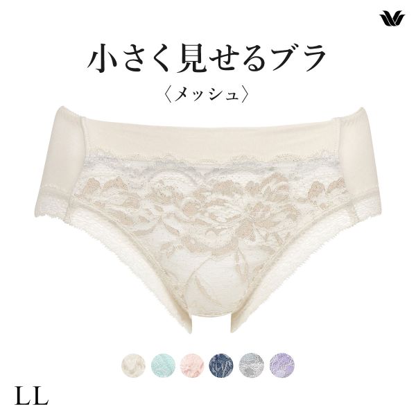 ワコール Wacoal 小さく見せるブラ BRB329 PRA129 ノーマルショーツ LL 単品