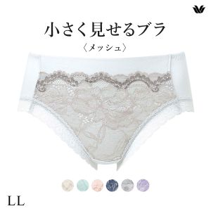 ワコール Wacoal 小さく見せるブラ BRB329 PRA129 ノーマルショーツ LL 単品