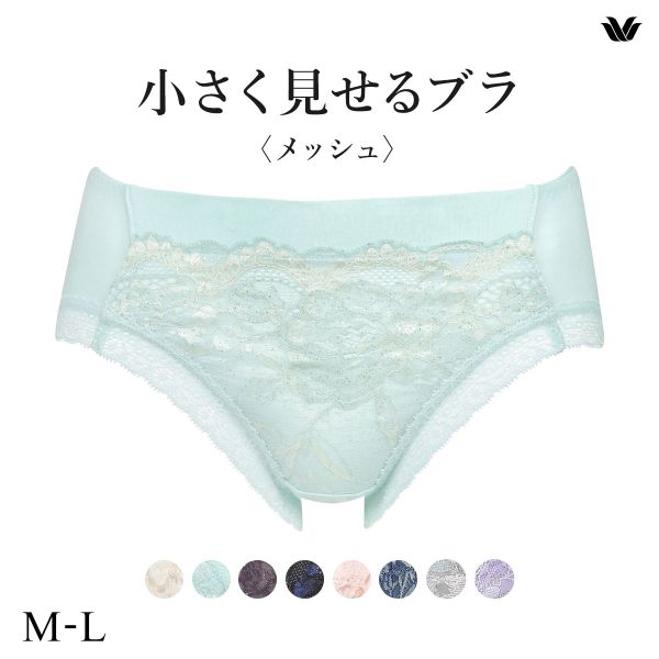 ワコール Wacoal 小さく見せるブラ BRB329 PRA129 ノーマルショーツ ML 単品